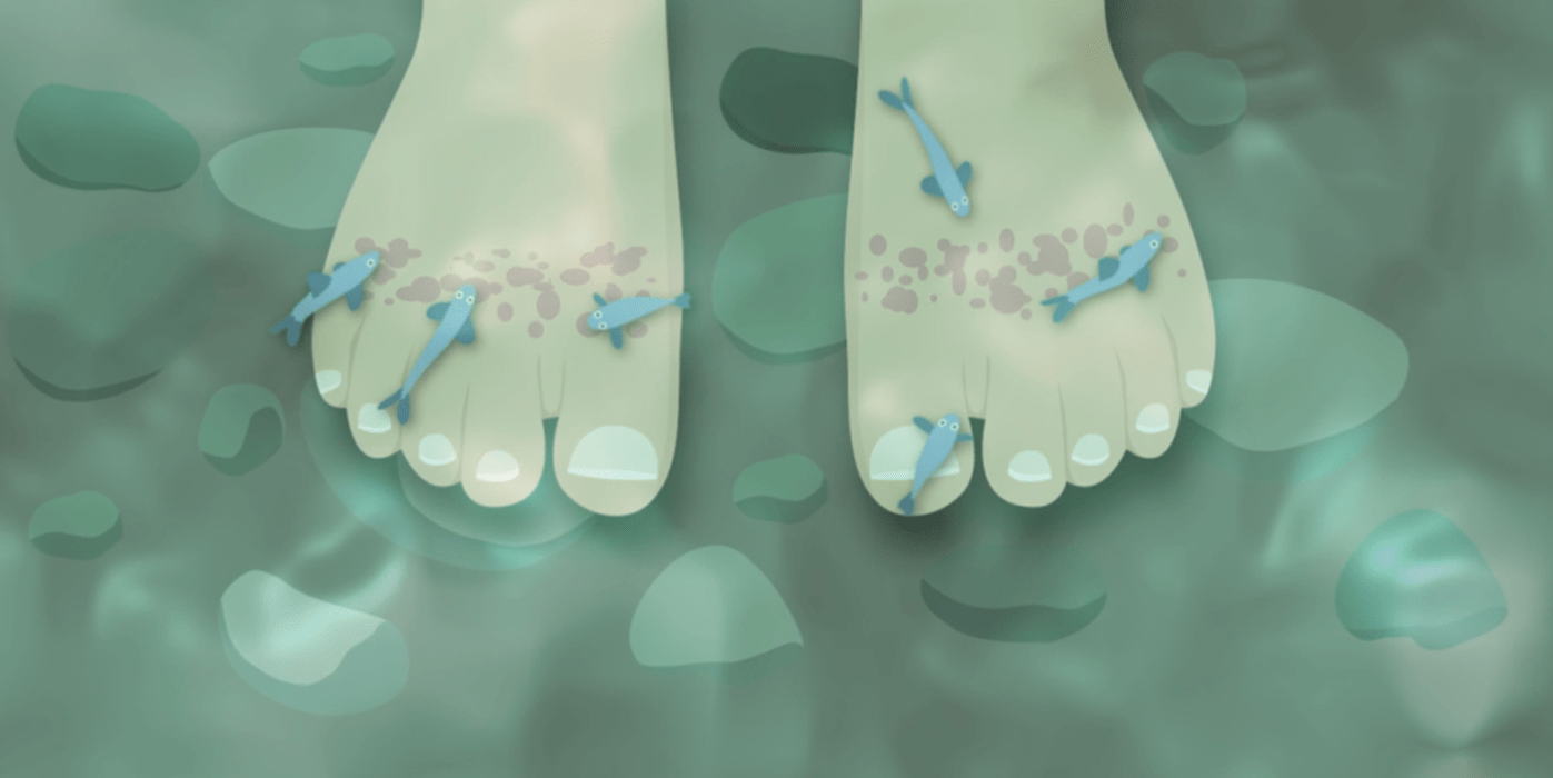 Illustrazione con pesci e piedi